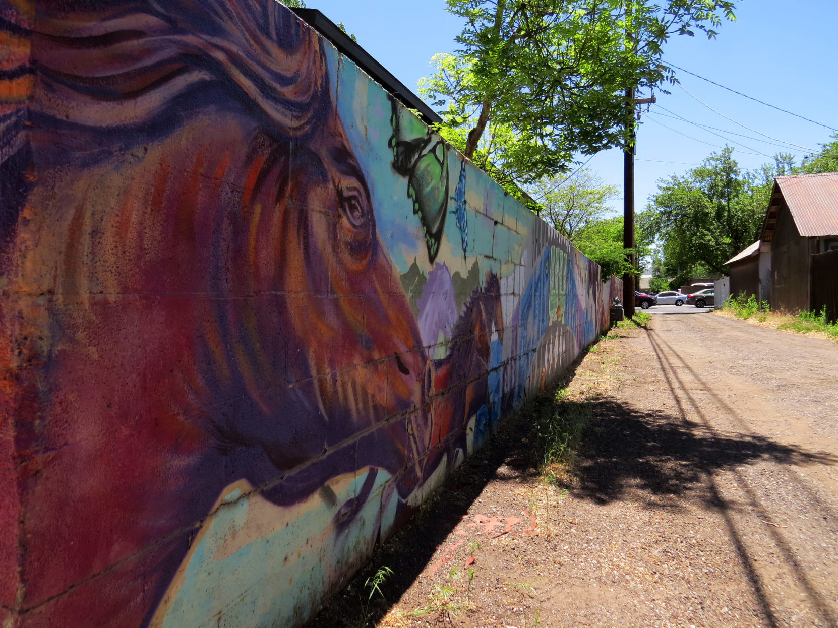Untitled mural by Trust and Native Arts.JPG